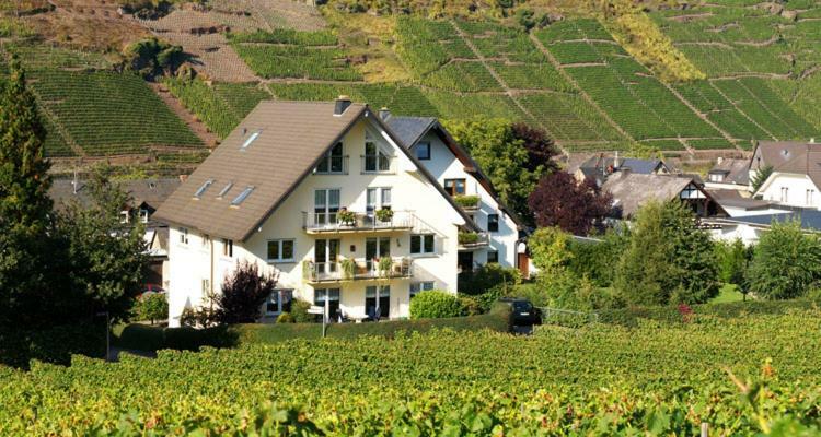 Ferienhaus Zenz - Ferienwohungen Ernst Extérieur photo